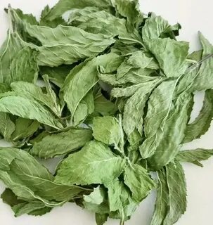 تصویر 1 از قیمت برگ نعنا خشک + فروش عمده